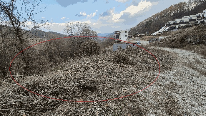 춘천지법 2025타경50989-1 사진