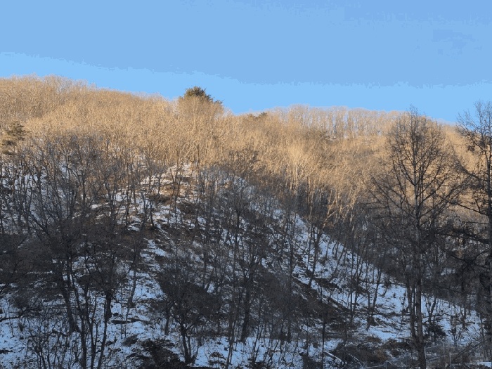 춘천지법 2025타경51018-1 사진