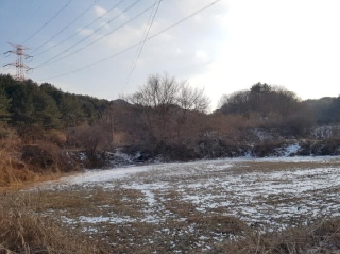 춘천지법 2025타경51030-1 사진