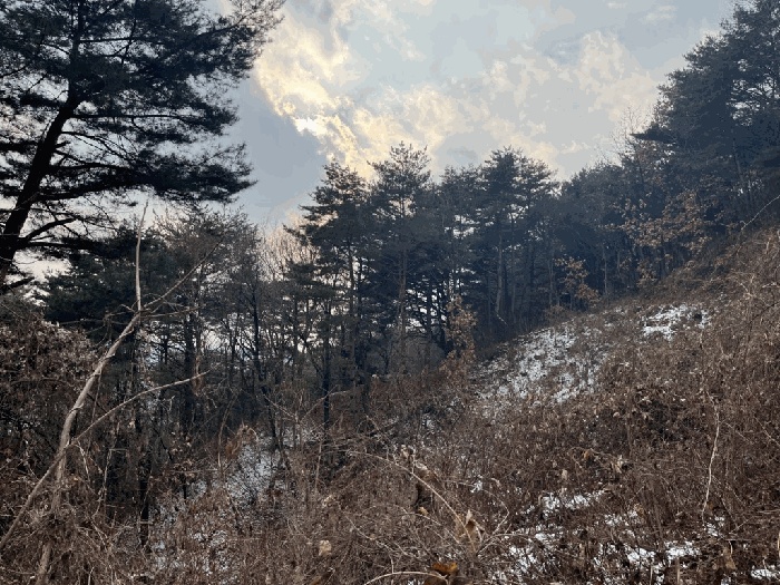 춘천지법 2025타경51050-2 사진