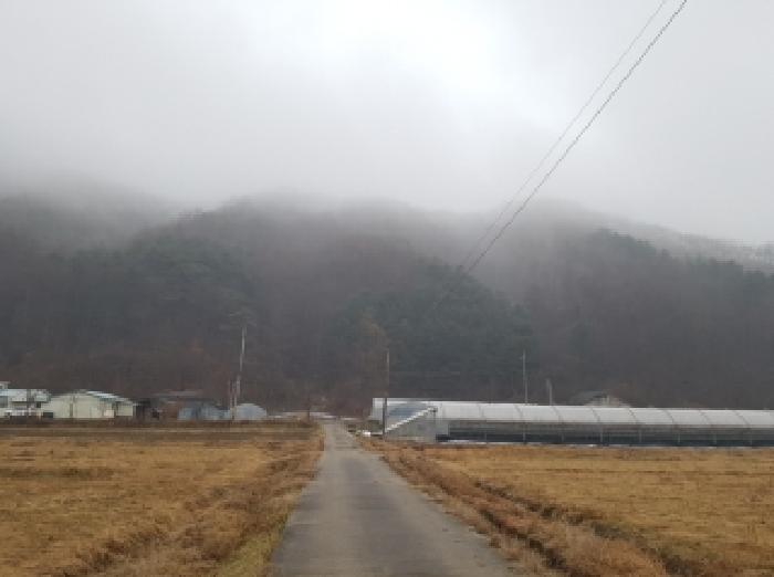 춘천지법 2025타경51051-1 사진