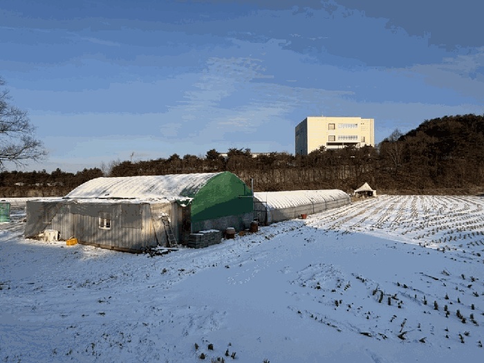 춘천지법 2025타경51080-1 사진