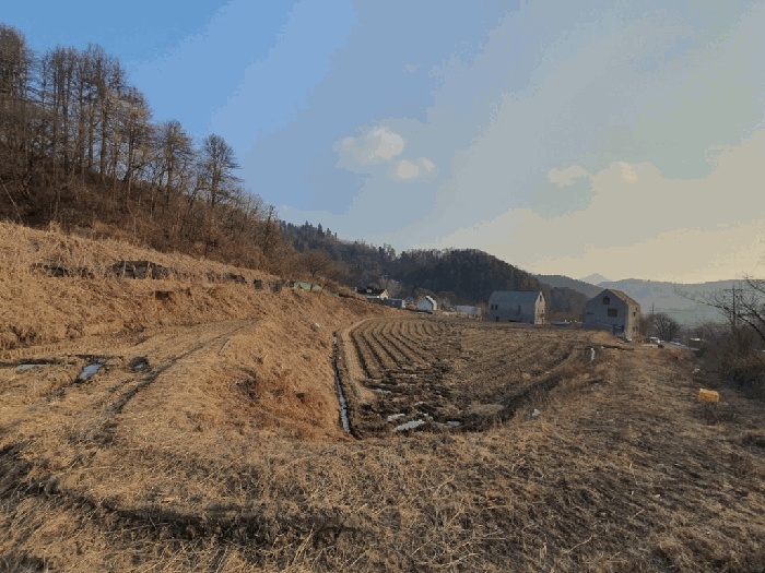 춘천지법 2026타경7-1 사진