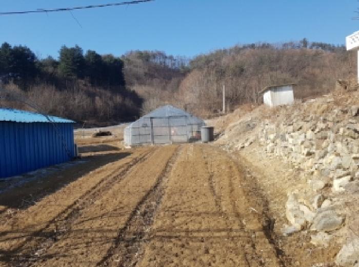 춘천지법 2026타경50015-1 사진