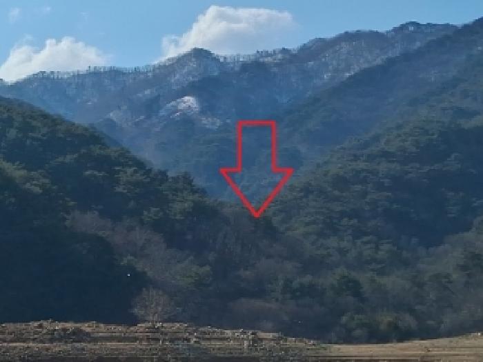 춘천지법 2026타경50048-1 사진