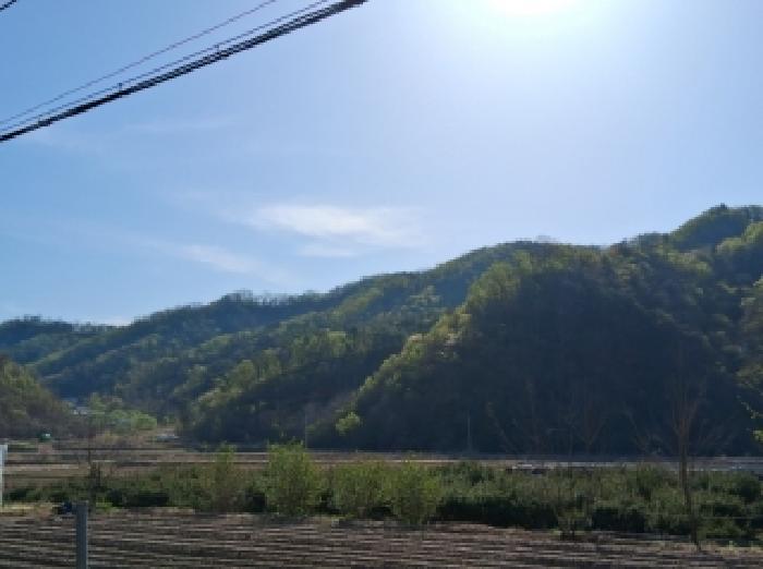 춘천지법 2026타경50119-1 사진