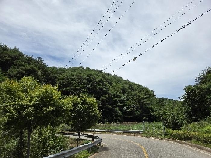강릉지원 2025타경229-1 사진