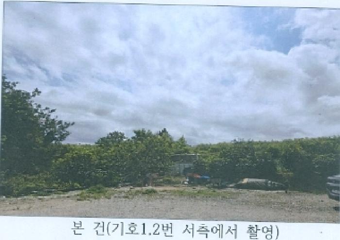강릉지원 2025타경245-1 사진