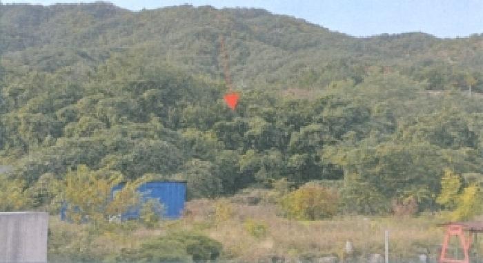 강릉지원 2025타경266-1 사진