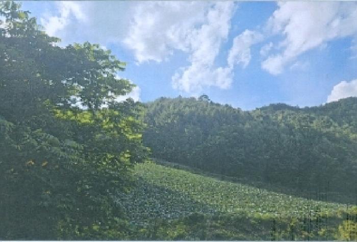 강릉지원 2025타경30647-1 사진