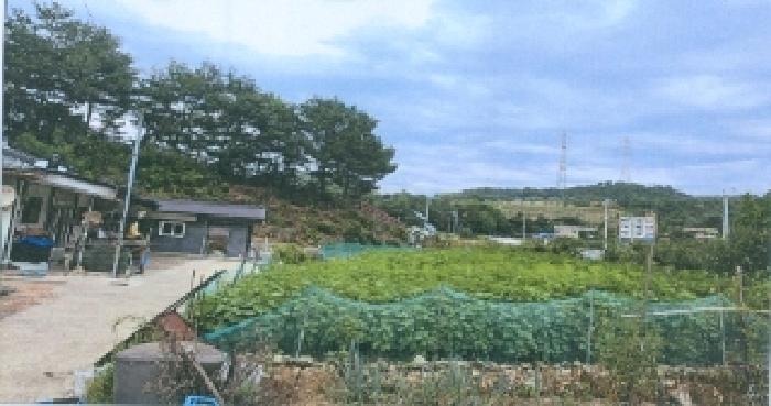 강릉지원 2025타경30723-1 사진