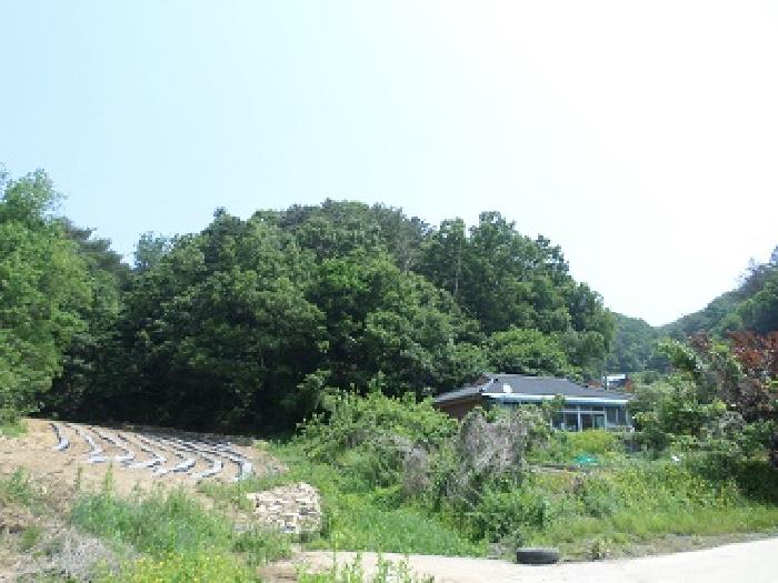 원주지원 2025타경20642-1 사진