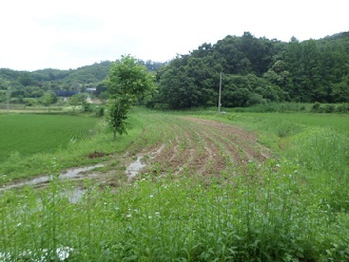 원주지원 2025타경20663-1 사진