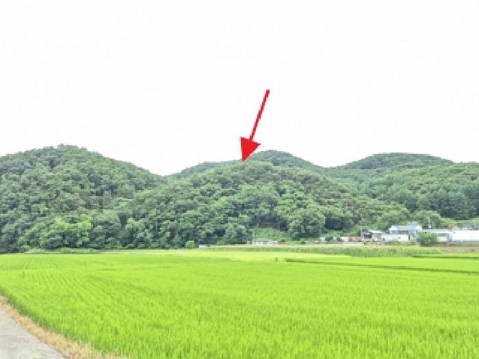 원주지원 2025타경20682-1 사진