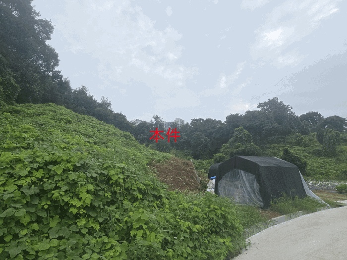 원주지원 2025타경20831-1 사진