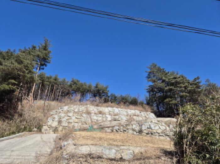 속초지원 2025타경193-1 사진