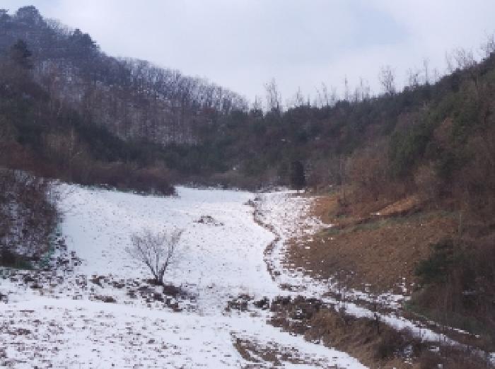 영월지원 2025타경30128-2 사진