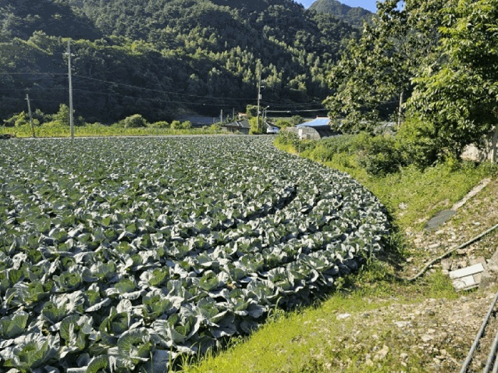 영월지원 2025타경30516-1 사진
