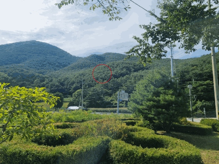 영월지원 2025타경30524-1 사진
