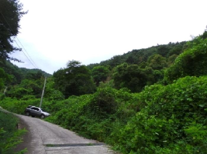 영월지원 2025타경30525-1 사진