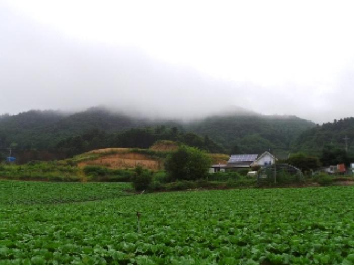 영월지원 2025타경30563-1 사진