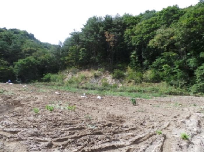 영월지원 2025타경30567-1 사진