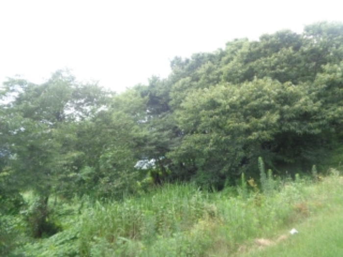 청주지법 2024타경57336-1 사진