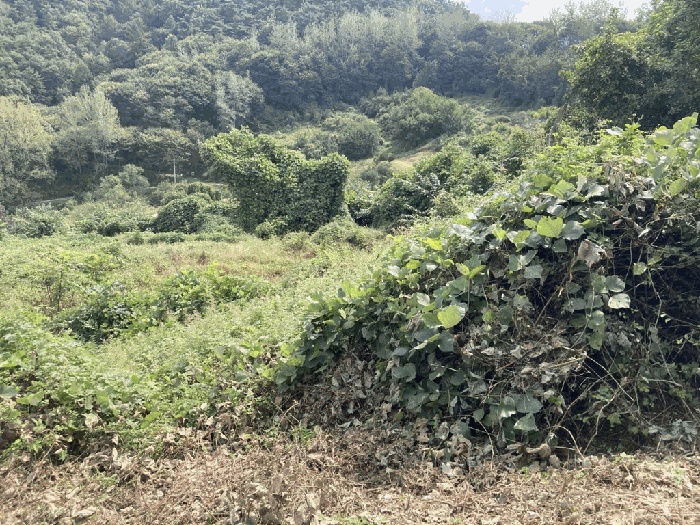 청주지법 2025타경51795-1 사진
