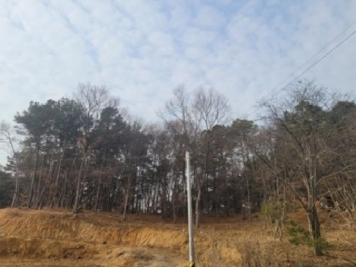 청주지법 2025타경52182-1 사진