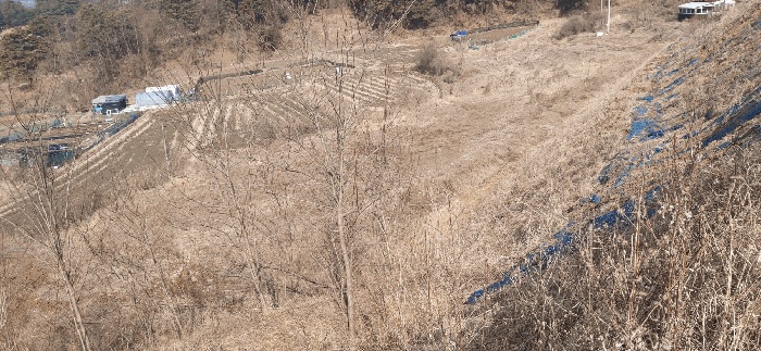 청주지법 2026타경44-1 사진