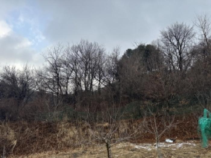 청주지법 2026타경56-1 사진