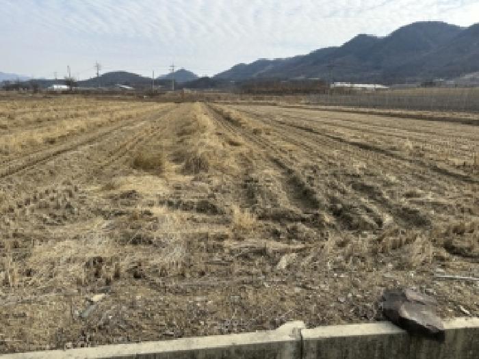 청주지법 2026타경50085-2 사진