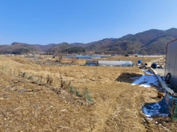 청주지법 2026타경50108-1 사진