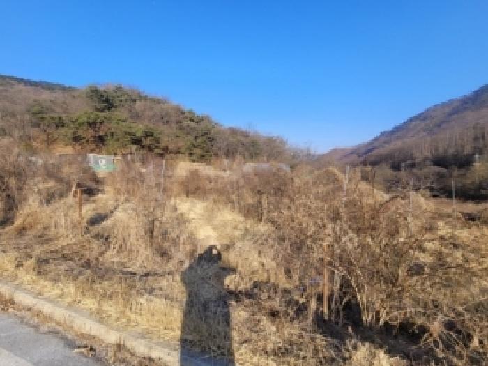청주지법 2026타경50126-1 사진