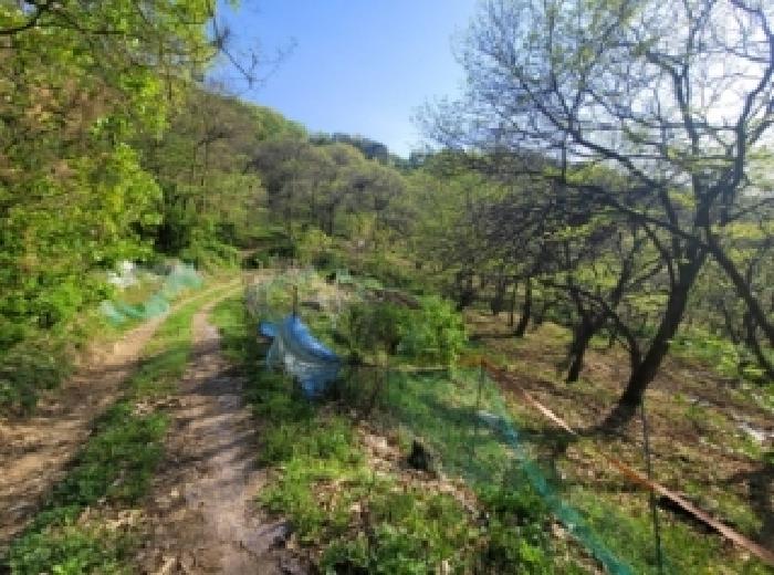 청주지법 2026타경50455-1 사진