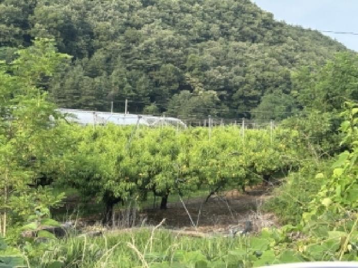 청주지법 2026타경50627-1 사진