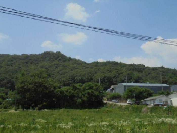 청주지법 2026타경50638-1 사진