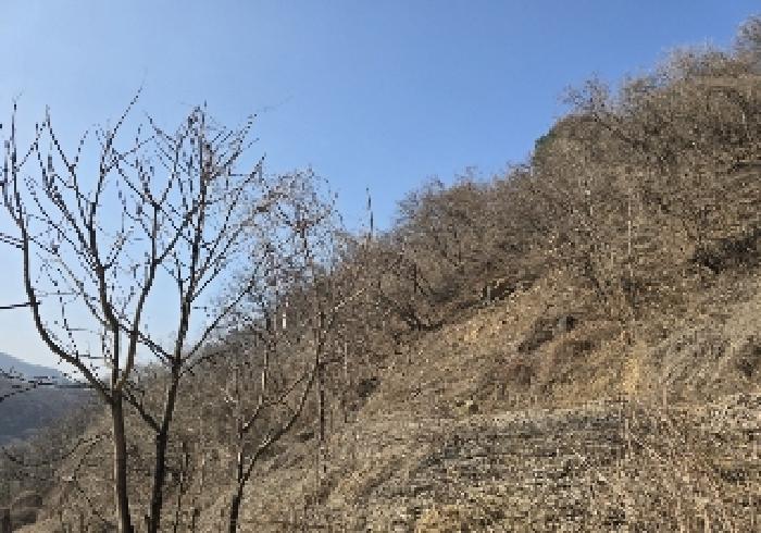 충주지원 2025타경606-1 사진