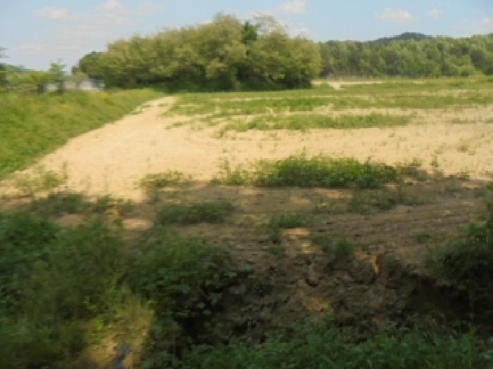 충주지원 2025타경989-1 사진