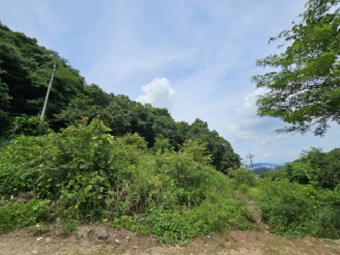 충주지원 2025타경1500-2 사진