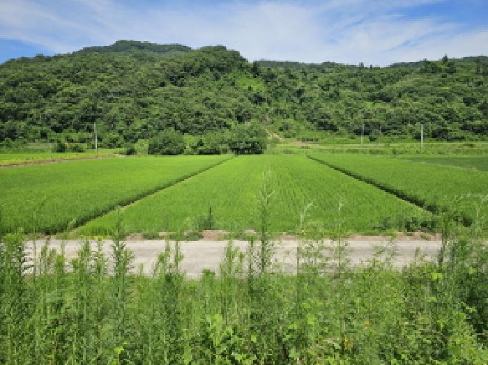 충주지원 2025타경1548-1 사진