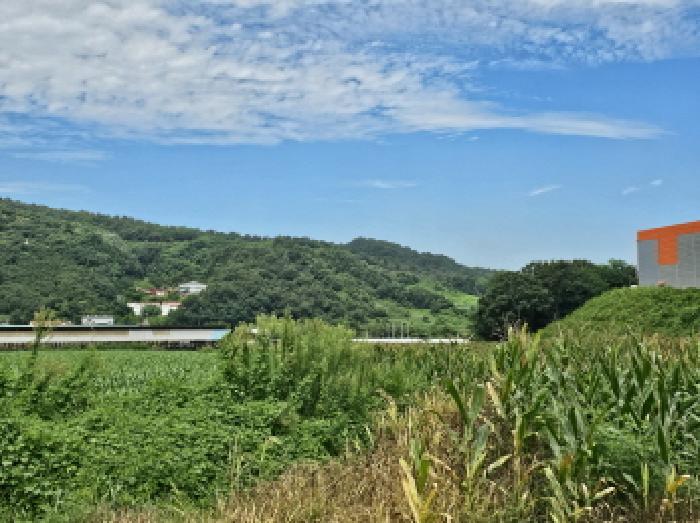 충주지원 2025타경1586-1 사진