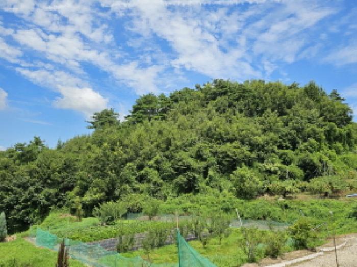 충주지원 2025타경1852-1 사진