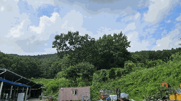 충주지원 2025타경1999-1 사진