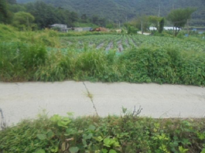 충주지원 2025타경2022-1 사진
