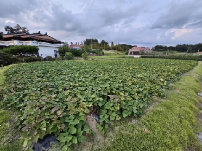 충주지원 2025타경2084-1 사진