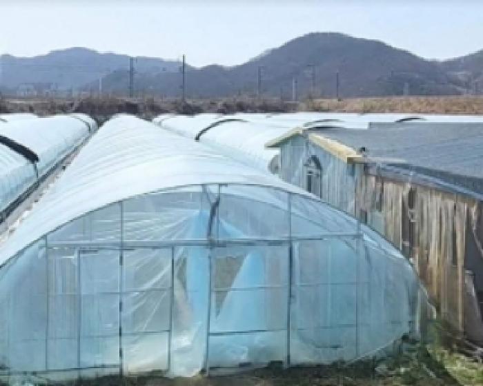 충주지원 2025타경2251-1 사진
