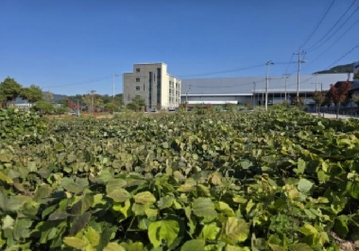 충주지원 2025타경2374-1 사진