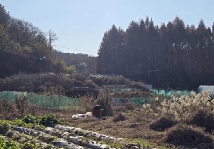 충주지원 2025타경2442-2 사진
