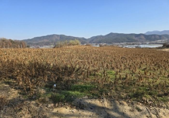 충주지원 2025타경2534-1 사진